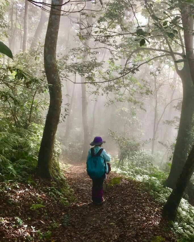 苗栗縣大湖鄉【馬那邦山】苗栗大湖兩天一夜推薦！在森森不息的馬那邦，享受被山嵐、湖光、森林包圍的時光