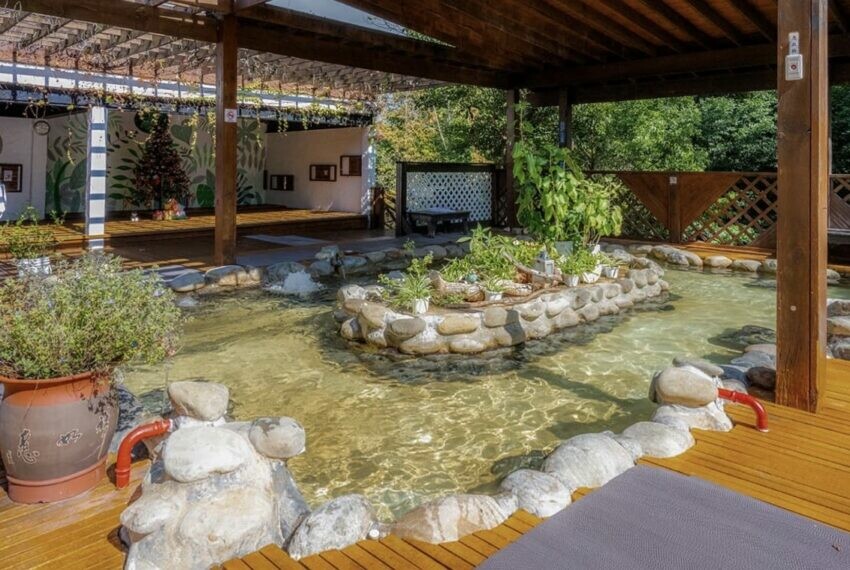 苗栗縣大湖鄉【馬那邦山】苗栗大湖兩天一夜推薦！在森森不息的馬那邦，享受被山嵐、湖光、森林包圍的時光