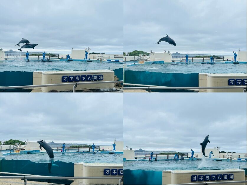 日本【沖繩北部一日遊】沖繩不自駕也好玩，沖繩巴士帶你玩北部熱門景點