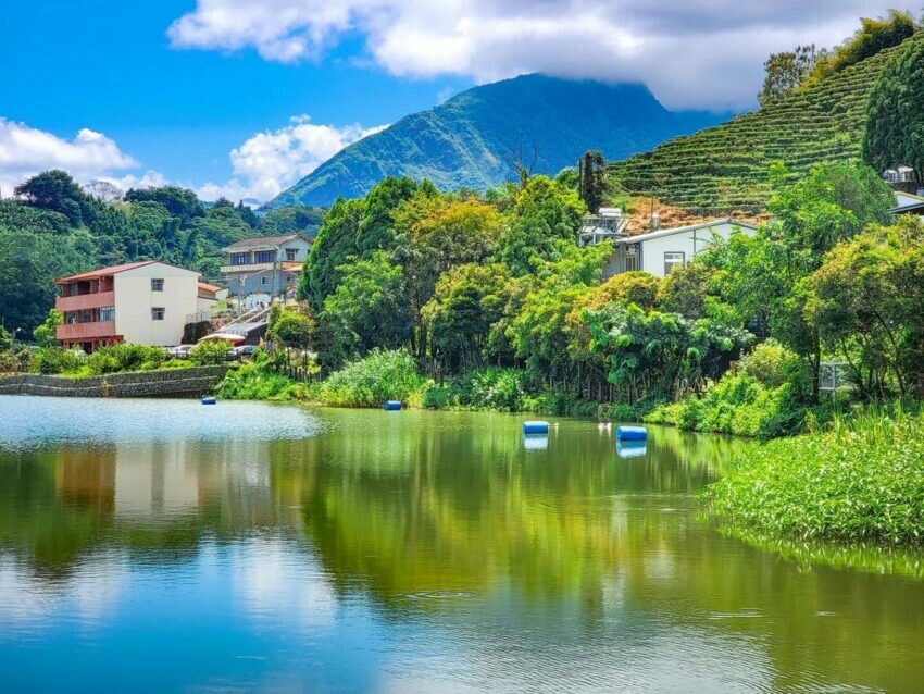 南投縣竹山鎮太極美地|推薦12處竹山鹿谷景點、行程路線,來場充滿仙氣的茶竹文化之旅