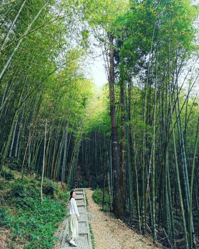 雲林縣古坑鄉雲林登山步道|一篇帶你收藏7條雲林熱門步道,小抹茶山、台版大峽谷、龍過脈森林步道