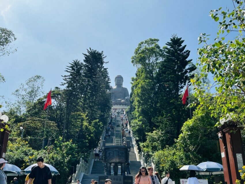 香港【香港四天三夜】行程規劃、花費整理，香港四日遊這樣玩！