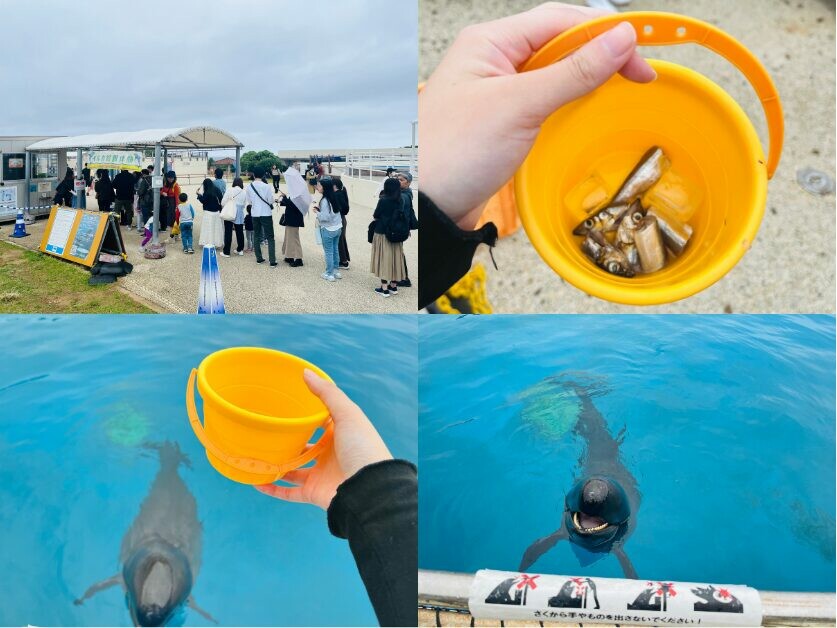 日本【沖繩北部一日遊】沖繩不自駕也好玩，沖繩巴士帶你玩北部熱門景點