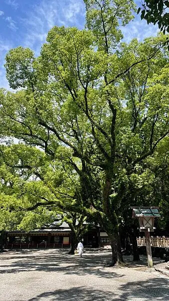 日本2024名古屋自由行-名古屋市區景點-熱田神宮