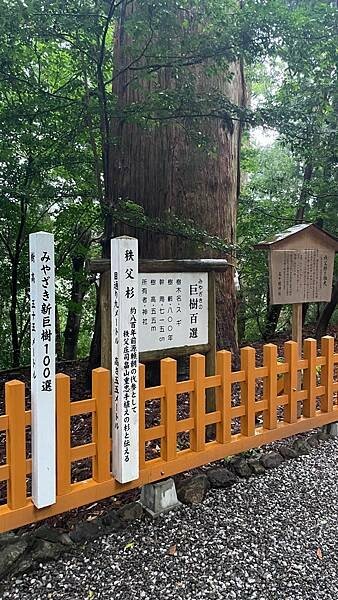 日本2024九州自由行-1900年的歷史沉澱-高千穗神社