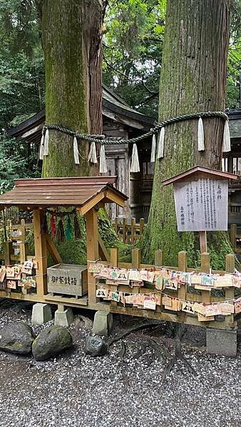 日本2024九州自由行-1900年的歷史沉澱-高千穗神社