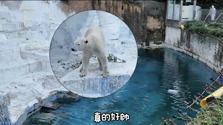 2025最新|日本大阪旅遊Vlog-2:理智派第二天Vlog大阪旅遊美食一把抓:感冒撐不住還是硬玩通天閣!I日本自由行全解析 - 理智派的生活手札