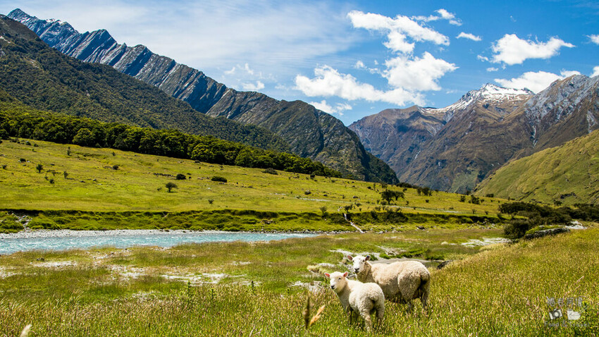 紐西蘭紐西蘭簽證 | 紐西蘭旅遊自由行必辦！電子旅行授權NZeTA線上申請教學～
