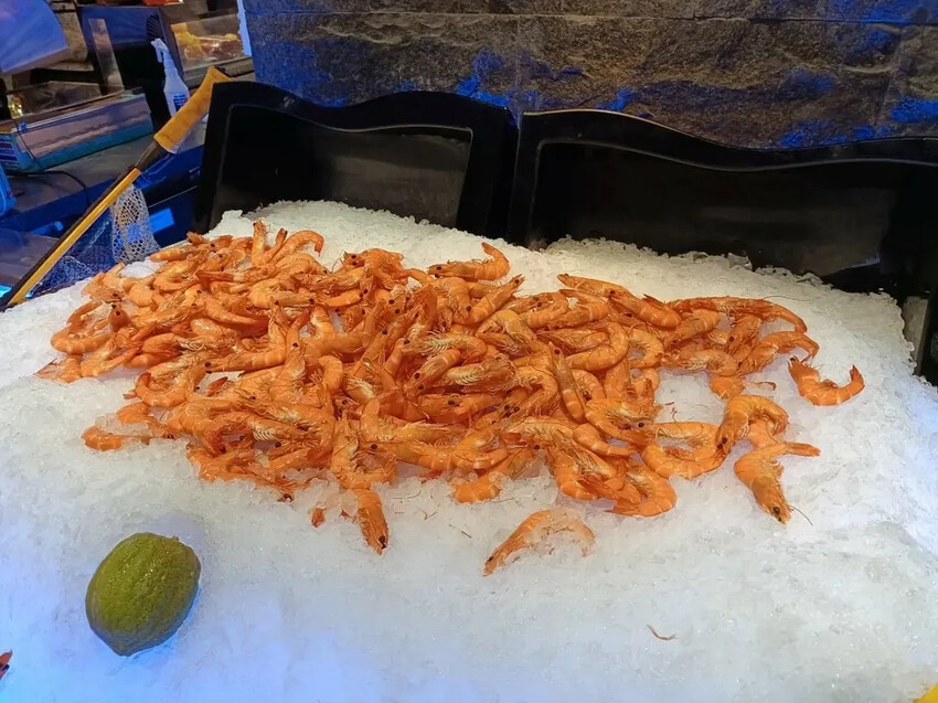 澳門2024澳門|上葡京自助山~超過百道菜色的自助餐,沒有吃完一輪就已經飽到頂天囉!