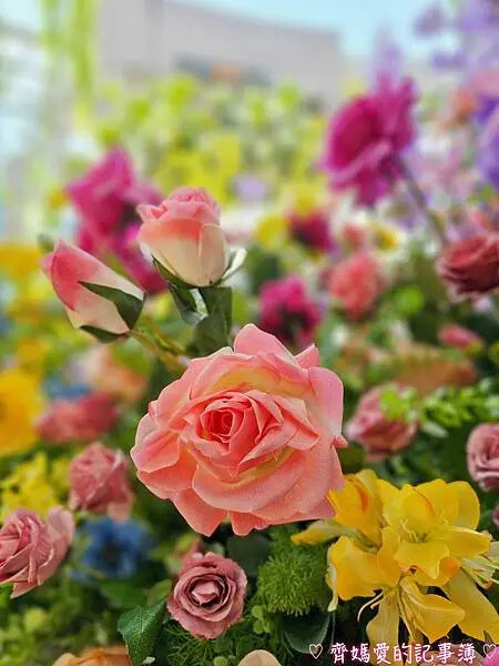 林口三井MITSUI OUTLET PARK「莫內花園秘境」