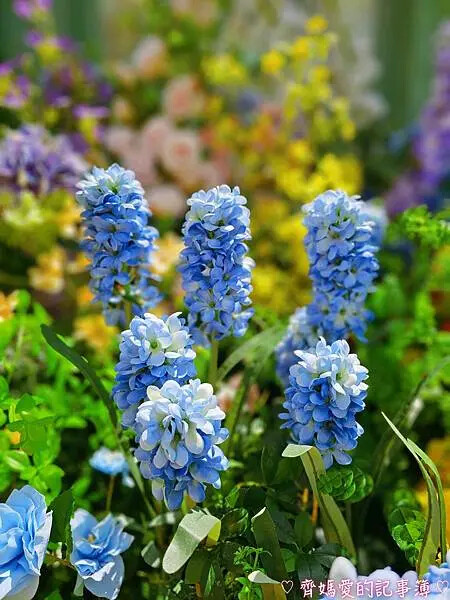 林口三井MITSUI OUTLET PARK「莫內花園秘境」