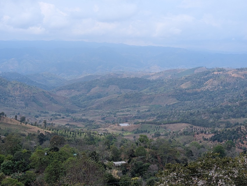 泰國2025清邁清萊7天6夜-D4