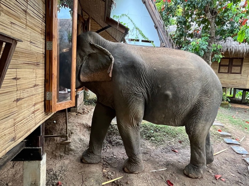 泰國2025清邁清萊7天6夜-D5