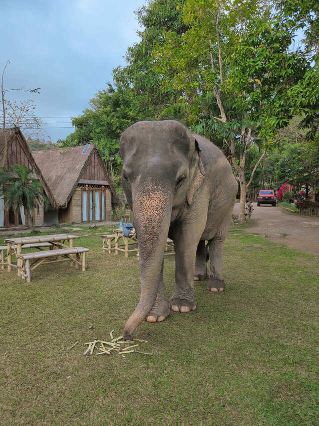 泰國2025清邁清萊7天6夜-D5