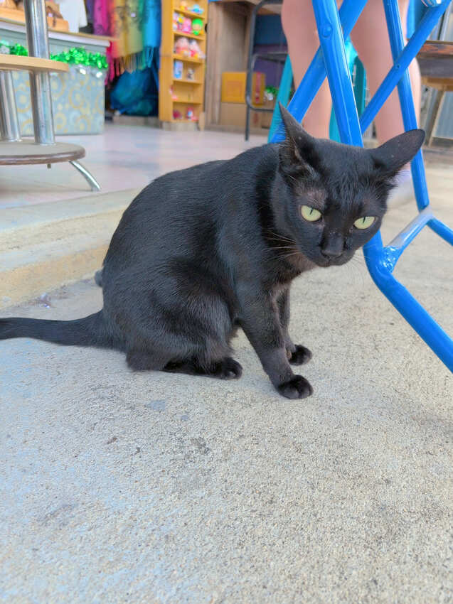 泰國2025清邁清萊7天6夜-D5