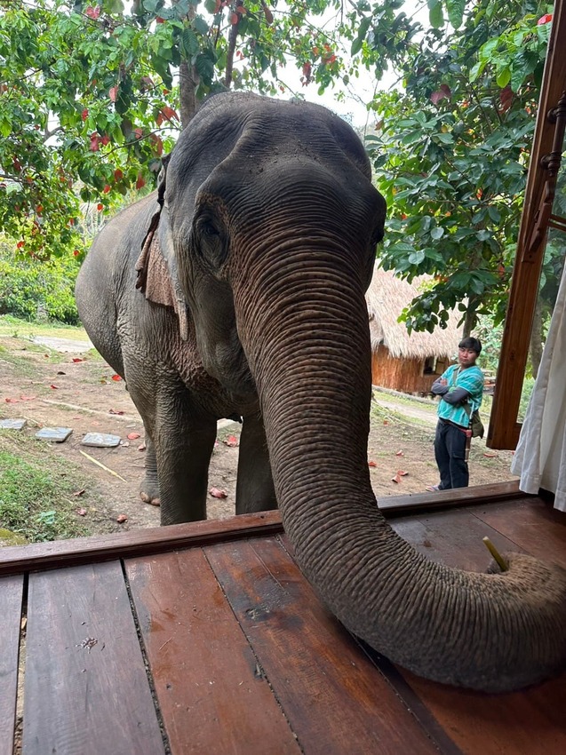 泰國2025清邁清萊7天6夜-D5