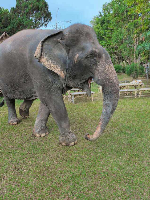 泰國2025清邁清萊7天6夜-D5