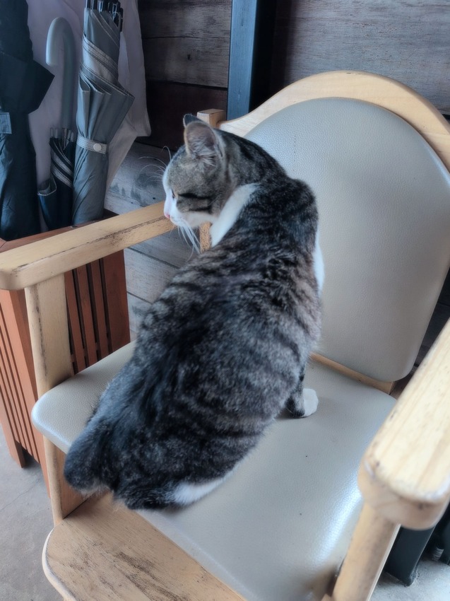 泰國2025清邁清萊7天6夜-D4