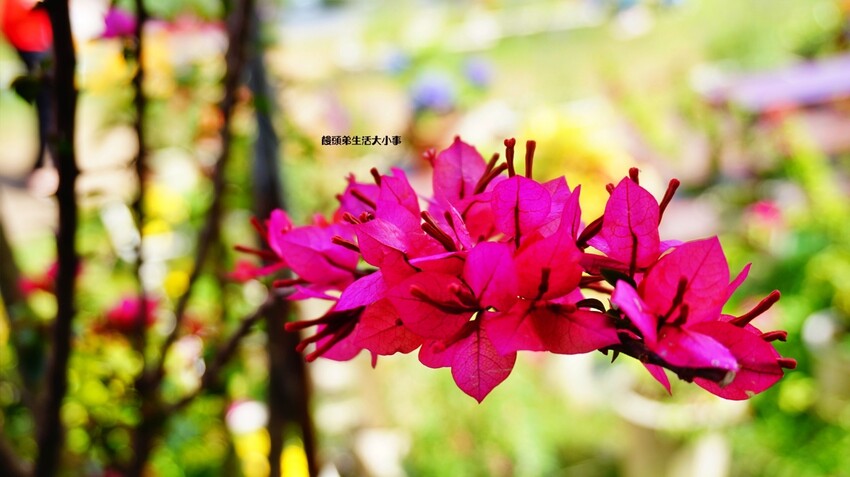 /tmp/phpAmFGCp /tmp/phpAmFGCp