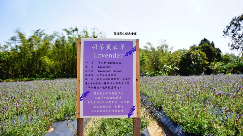 /tmp/phpprQYLd /tmp/phpprQYLd