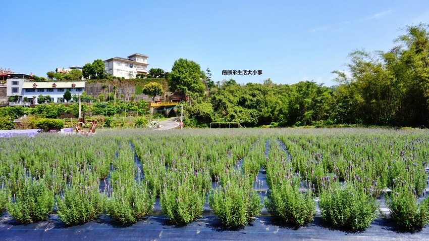 /tmp/phpEvGdYI /tmp/phpEvGdYI