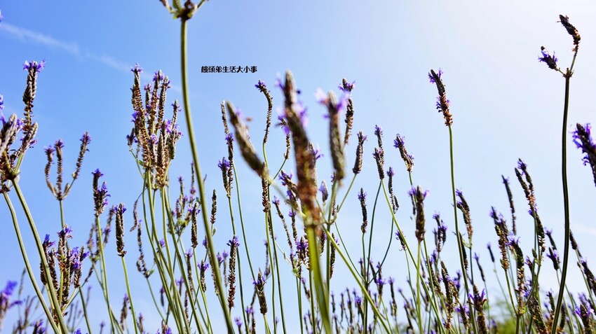 /tmp/php8JxaRn /tmp/php8JxaRn