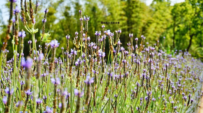 /tmp/phplDRjvY /tmp/phplDRjvY