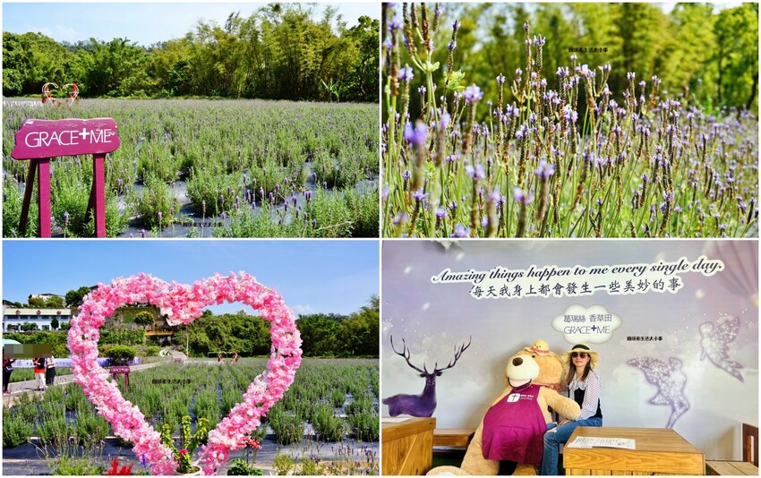 /tmp/phpdTCE1p /tmp/phpdTCE1p