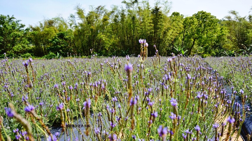 /tmp/phpG4TUHN /tmp/phpG4TUHN