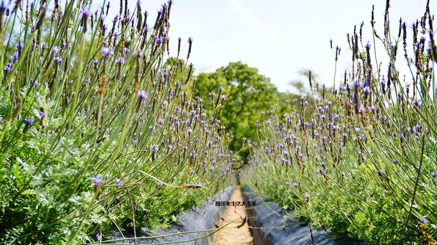 /tmp/phpOI0eqb /tmp/phpOI0eqb