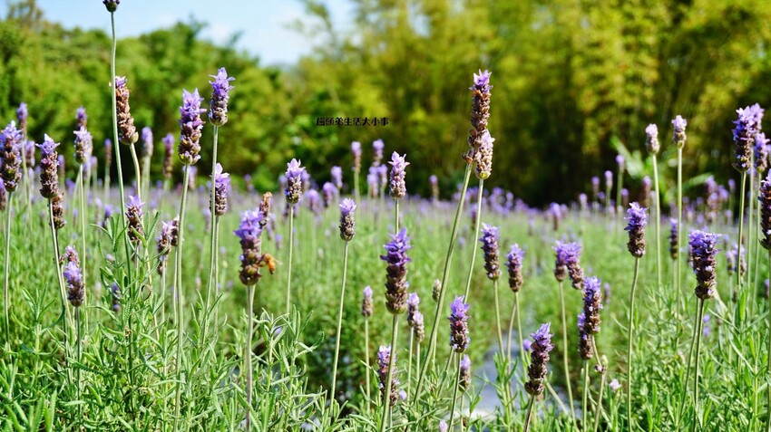 /tmp/phpRJFbxN /tmp/phpRJFbxN