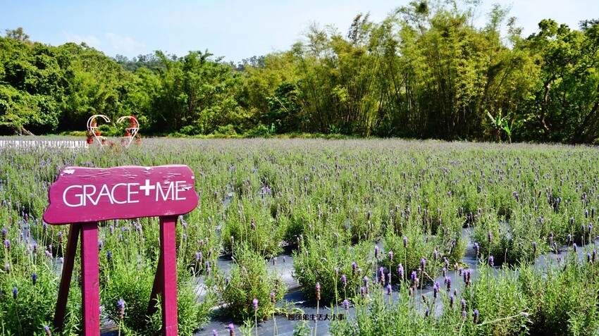 /tmp/phpWWu3kn /tmp/phpWWu3kn