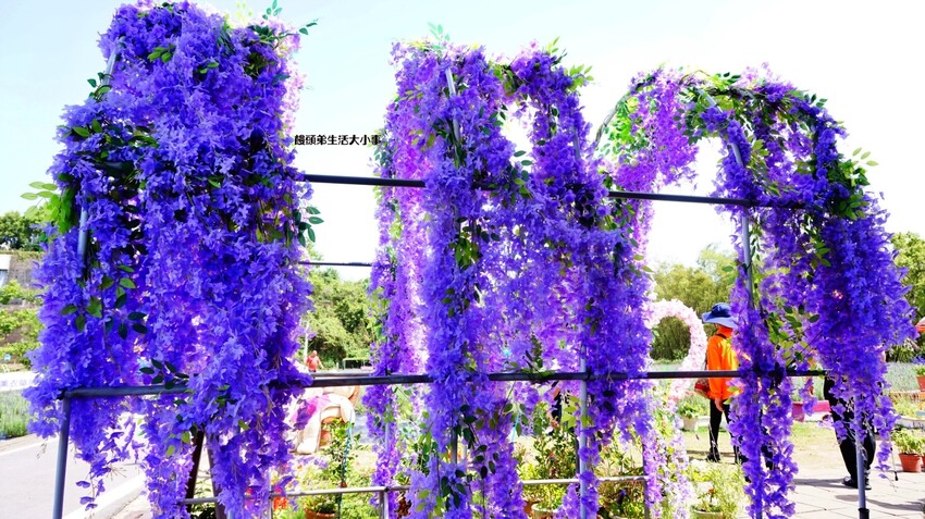 /tmp/phpMDIKv6 /tmp/phpMDIKv6