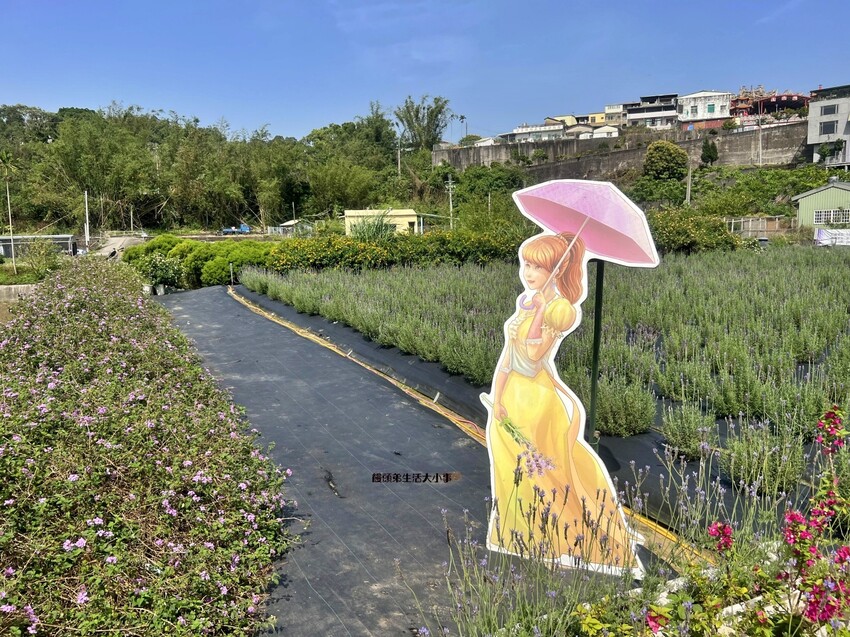 /tmp/phppmGG2Z /tmp/phppmGG2Z