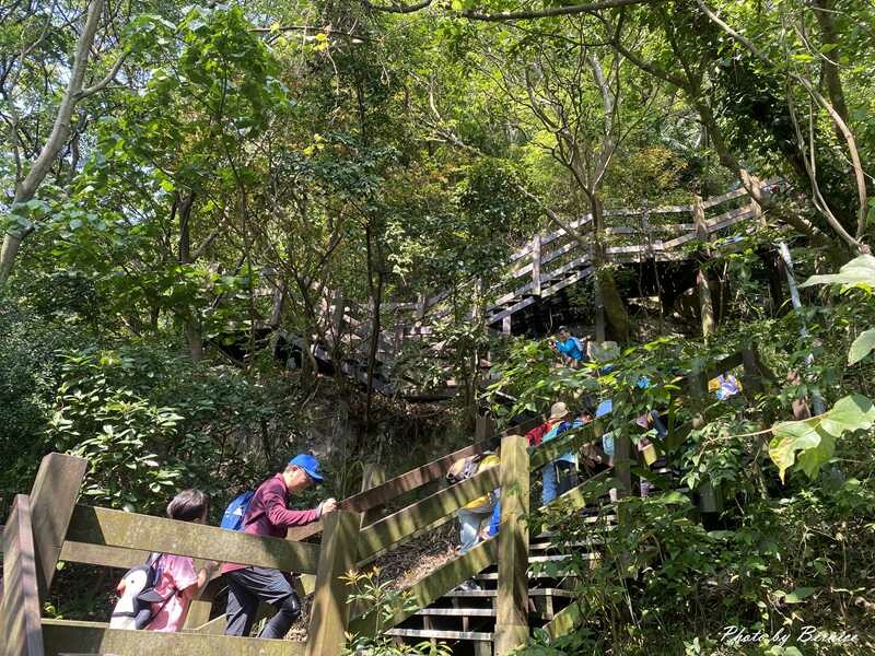 貴子坑親山步道~環狀步道銜接水土保持教學園區 豐富這趟山林行 @Bernice的隨手筆記