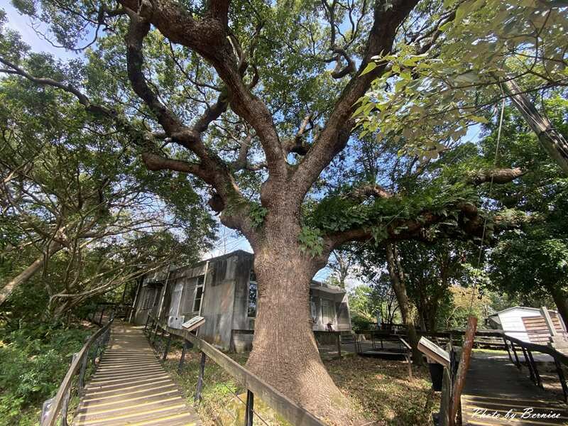 芝山岩石佛亭.台北新四國遍路~找尋石佛蹤跡並探索芝山岩文化 @Bernice的隨手筆記