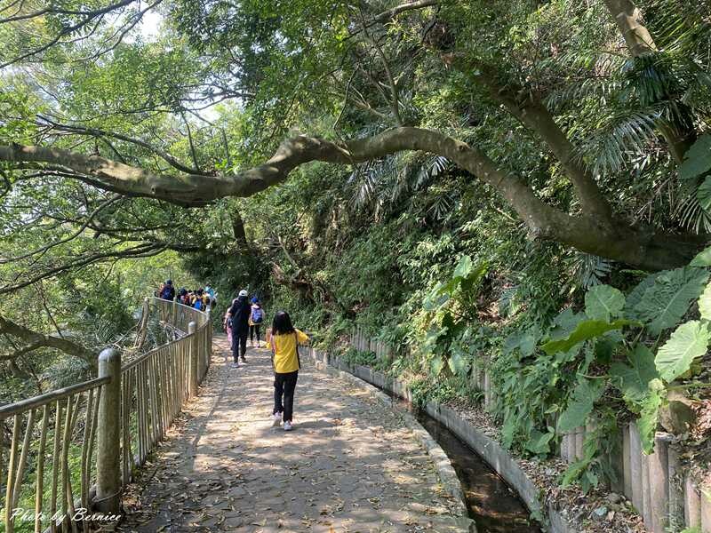 貴子坑親山步道~環狀步道銜接水土保持教學園區 豐富這趟山林行 @Bernice的隨手筆記