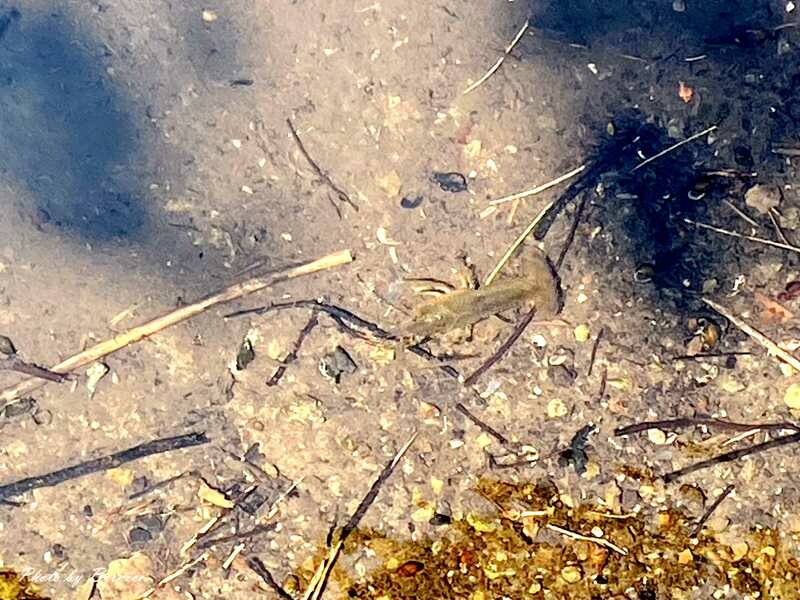 貴子坑親山步道~環狀步道銜接水土保持教學園區 豐富這趟山林行 @Bernice的隨手筆記
