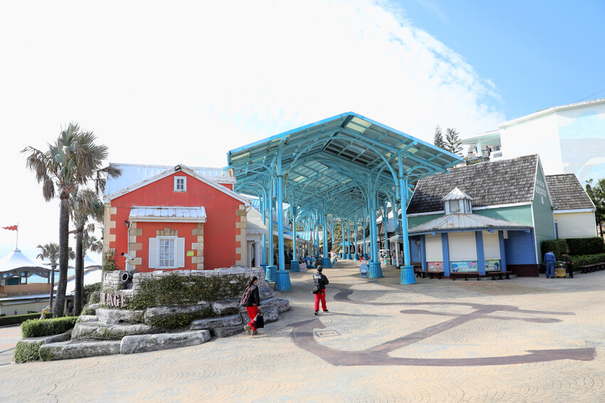 花蓮遠雄海洋公園親親海洋夜未眠 近距離與海豚海獅親近,夜探水族館,與魚共眠超好玩親子行程推薦! - 奇奇一起玩樂趣