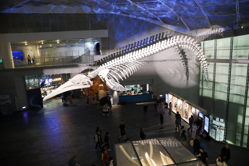 屏東親子旅遊推薦! 夜宿海生館 與魚兒共眠 住宿屏東海生館,後場飼育體驗+夜間探索+潮間帶生態觀察 - 奇奇一起玩樂趣