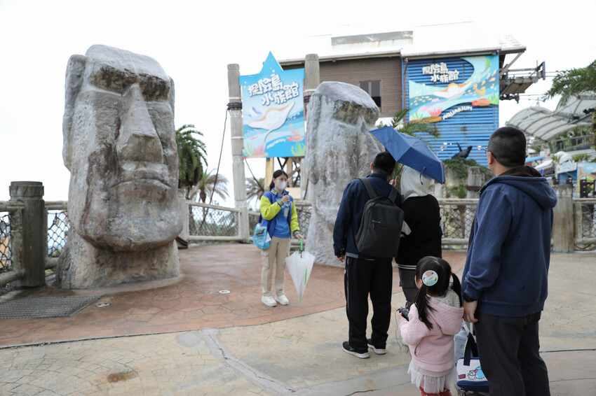 花蓮遠雄海洋公園親親海洋夜未眠 近距離與海豚海獅親近,夜探水族館,與魚共眠超好玩親子行程推薦! - 奇奇一起玩樂趣
