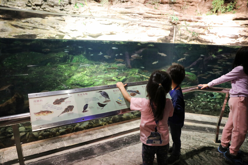 屏東親子旅遊推薦! 夜宿海生館 與魚兒共眠 住宿屏東海生館,後場飼育體驗+夜間探索+潮間帶生態觀察 - 奇奇一起玩樂趣