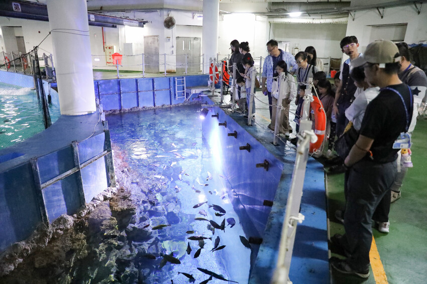 屏東親子旅遊推薦! 夜宿海生館 與魚兒共眠 住宿屏東海生館,後場飼育體驗+夜間探索+潮間帶生態觀察 - 奇奇一起玩樂趣