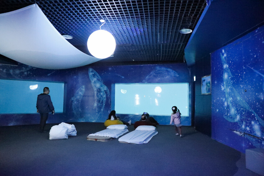 花蓮遠雄海洋公園親親海洋夜未眠 近距離與海豚海獅親近,夜探水族館,與魚共眠超好玩親子行程推薦! - 奇奇一起玩樂趣