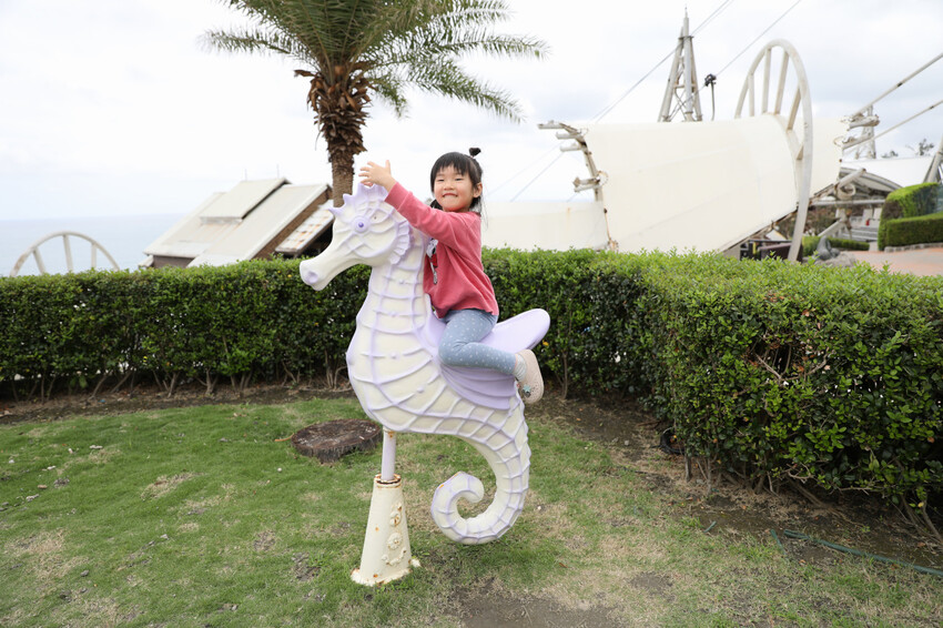 花蓮遠雄海洋公園親親海洋夜未眠 近距離與海豚海獅親近,夜探水族館,與魚共眠超好玩親子行程推薦! - 奇奇一起玩樂趣