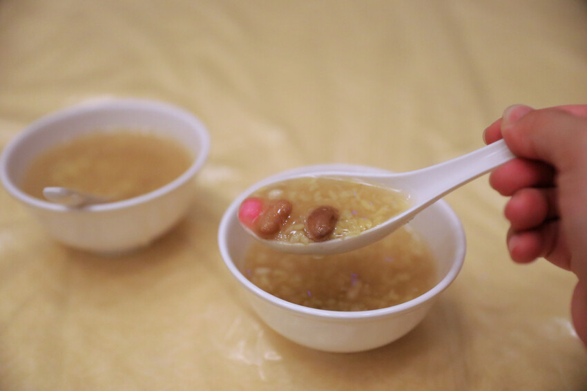 屏東親子旅遊推薦! 夜宿海生館 與魚兒共眠 住宿屏東海生館,後場飼育體驗+夜間探索+潮間帶生態觀察 - 奇奇一起玩樂趣