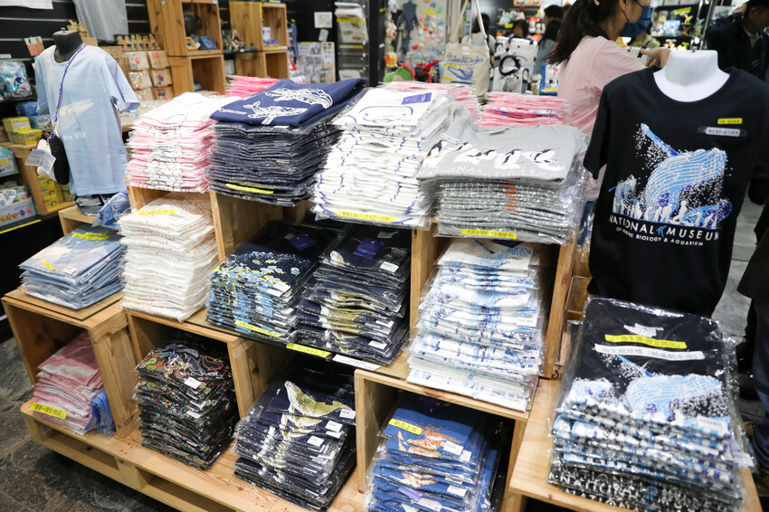 屏東親子旅遊推薦! 夜宿海生館 與魚兒共眠 住宿屏東海生館,後場飼育體驗+夜間探索+潮間帶生態觀察 - 奇奇一起玩樂趣