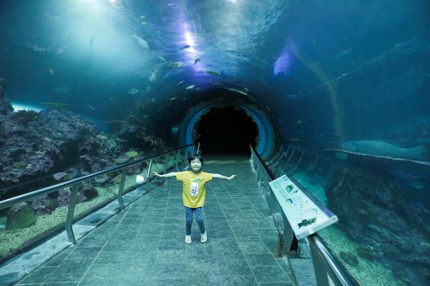 屏東親子旅遊推薦! 夜宿海生館 與魚兒共眠 住宿屏東海生館,後場飼育體驗+夜間探索+潮間帶生態觀察 - 奇奇一起玩樂趣
