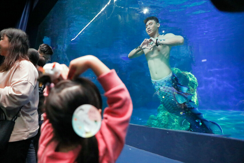 花蓮遠雄海洋公園親親海洋夜未眠 近距離與海豚海獅親近,夜探水族館,與魚共眠超好玩親子行程推薦! - 奇奇一起玩樂趣