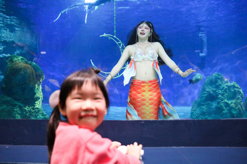 花蓮遠雄海洋公園親親海洋夜未眠 近距離與海豚海獅親近,夜探水族館,與魚共眠超好玩親子行程推薦! - 奇奇一起玩樂趣